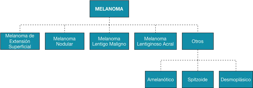 Principales subtipos histológicos de melanoma cutáneo.